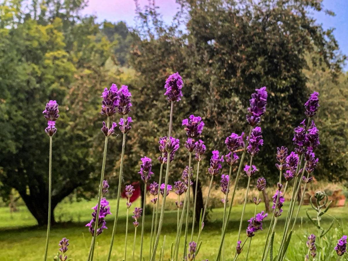 Holiday Home Les Plachettes Flobecq Екстериор снимка