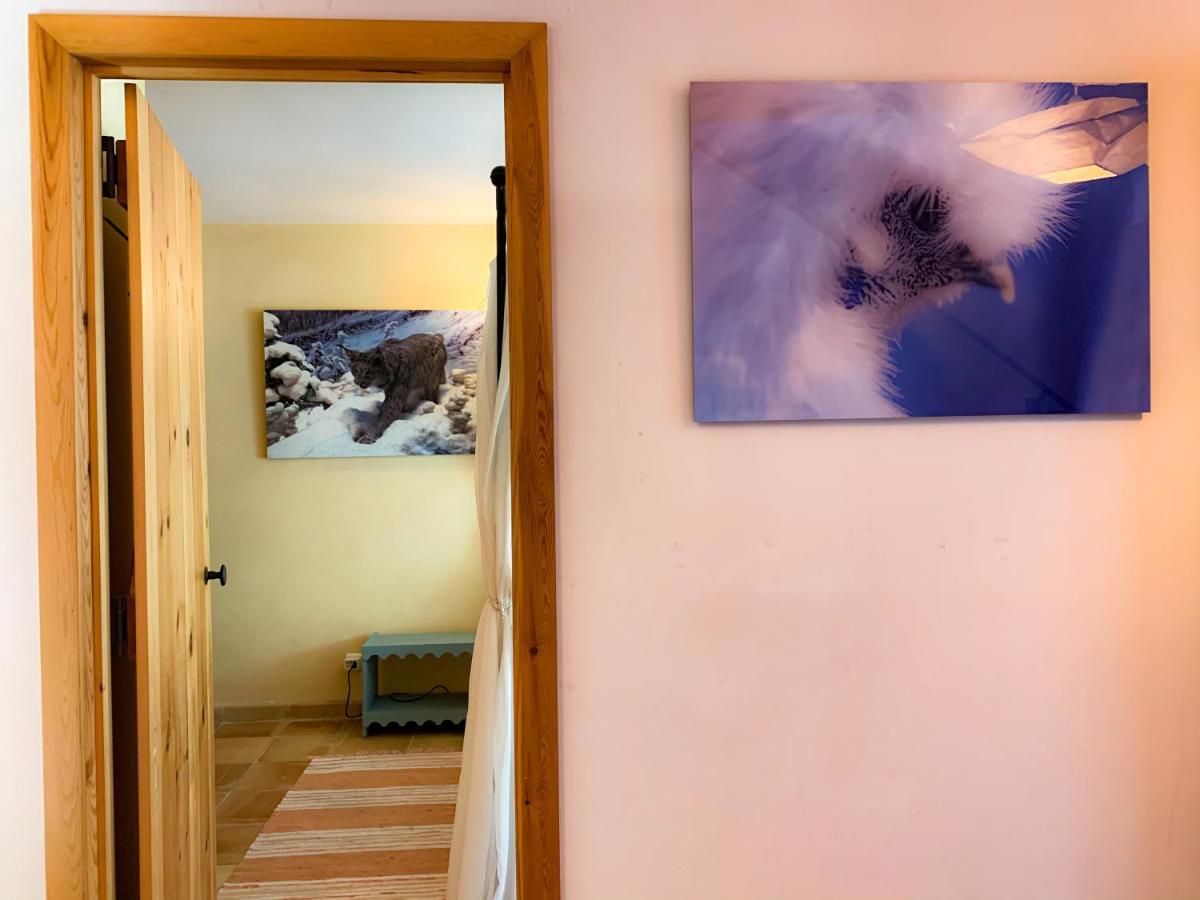 Holiday Home Les Plachettes Flobecq Екстериор снимка